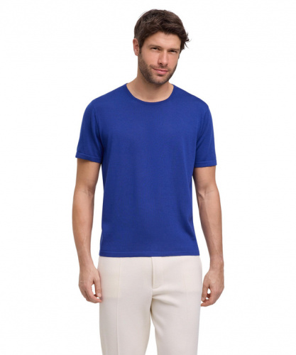 Джемпер мужской Jumper Men  (Размер: XL; Состав: шерсть 100%; Цвет: синий 6451;)