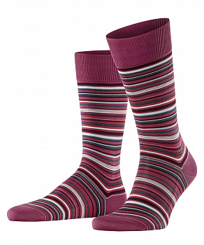 Носки мужские Men socks Microblock FW24/25