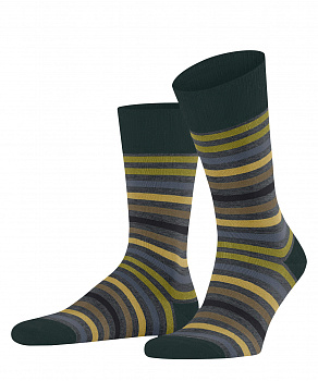 Носки мужские Tinted Stripe Men Socks FW25/26