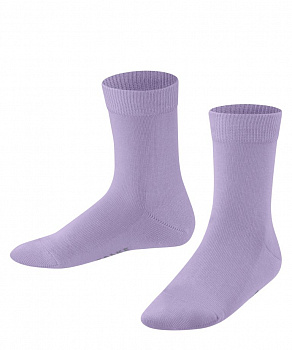 Носки детские Children sock Family 
