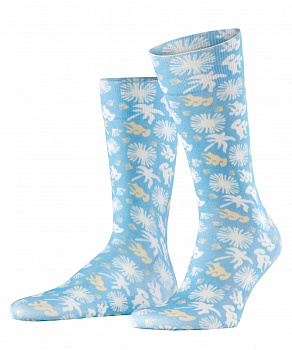 Носки мужские Lagoon Men Socks 
