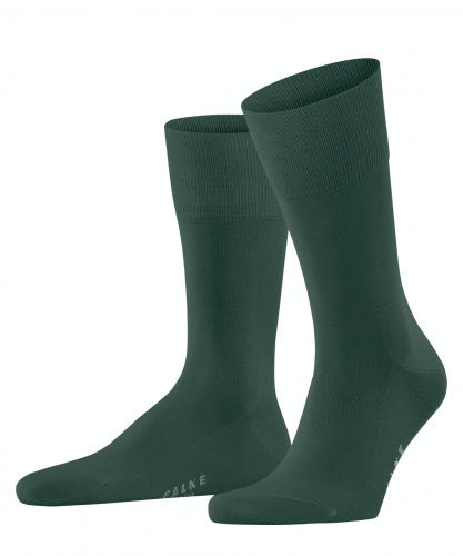 Носки мужские Men socks Tiago  (Размер: 39-40; Состав: Хлопок 95%; полиамид 3%; эластан 2%; Цвет: зеленый 7441;)