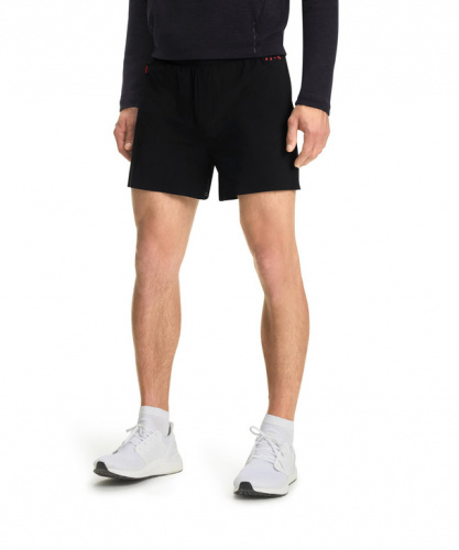 Шорты мужские Basic Challenger Men Shorts (Размер: S; Состав: полиамид 90%; эластан 10%; Цвет: черный 3008;)