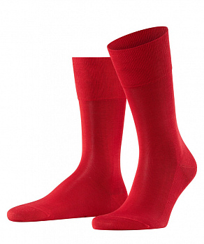 Носки мужские Men socks Tiago база