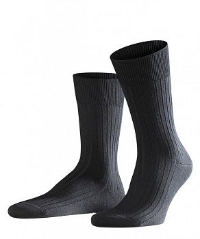 Носки мужские Men socks Bristol